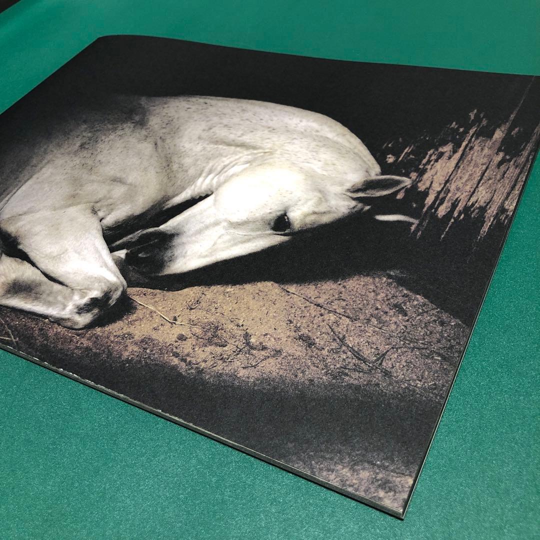 アート・デザイン・音楽 ANIMA by Charlotte Dumas