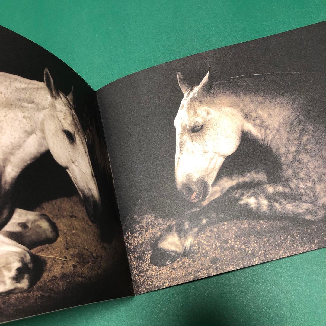 アート・デザイン・音楽 ANIMA by Charlotte Dumas