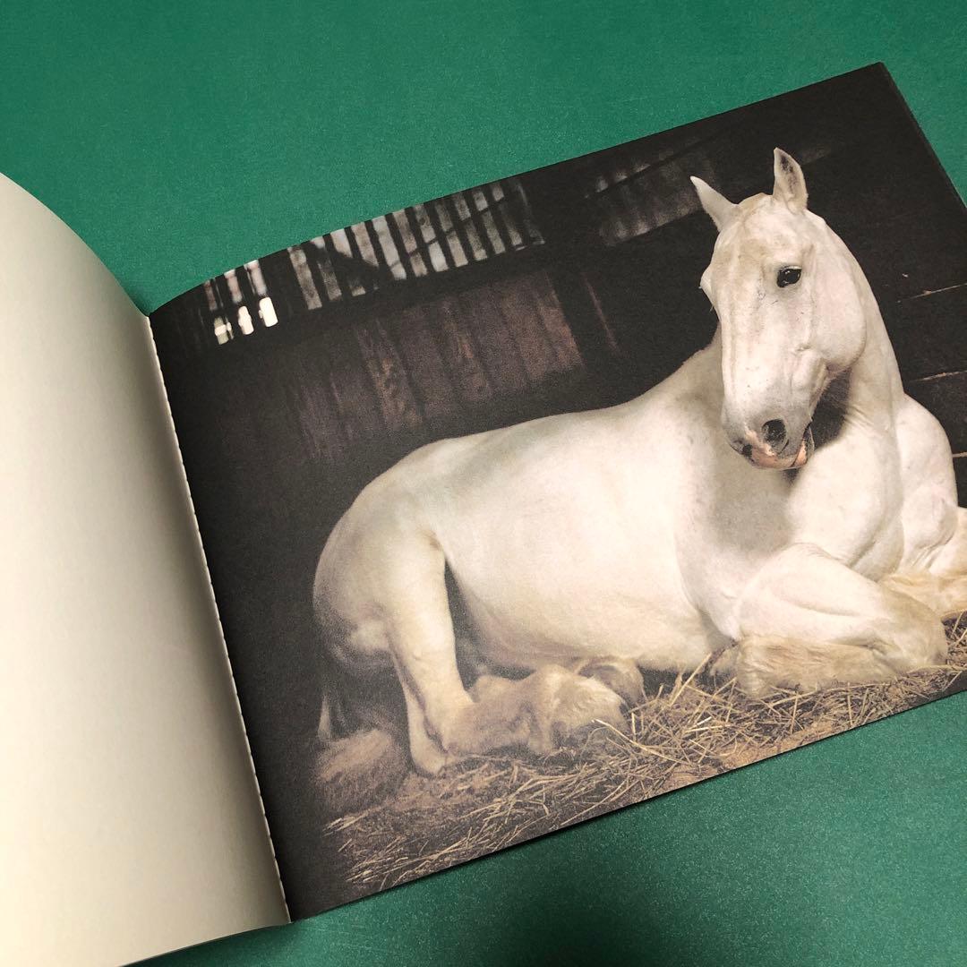 アート・デザイン・音楽 ANIMA by Charlotte Dumas