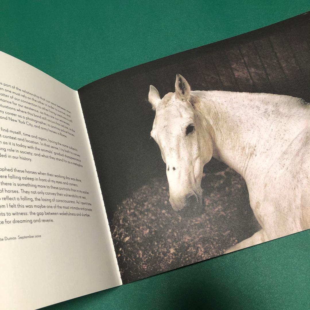 アート・デザイン・音楽 ANIMA by Charlotte Dumas