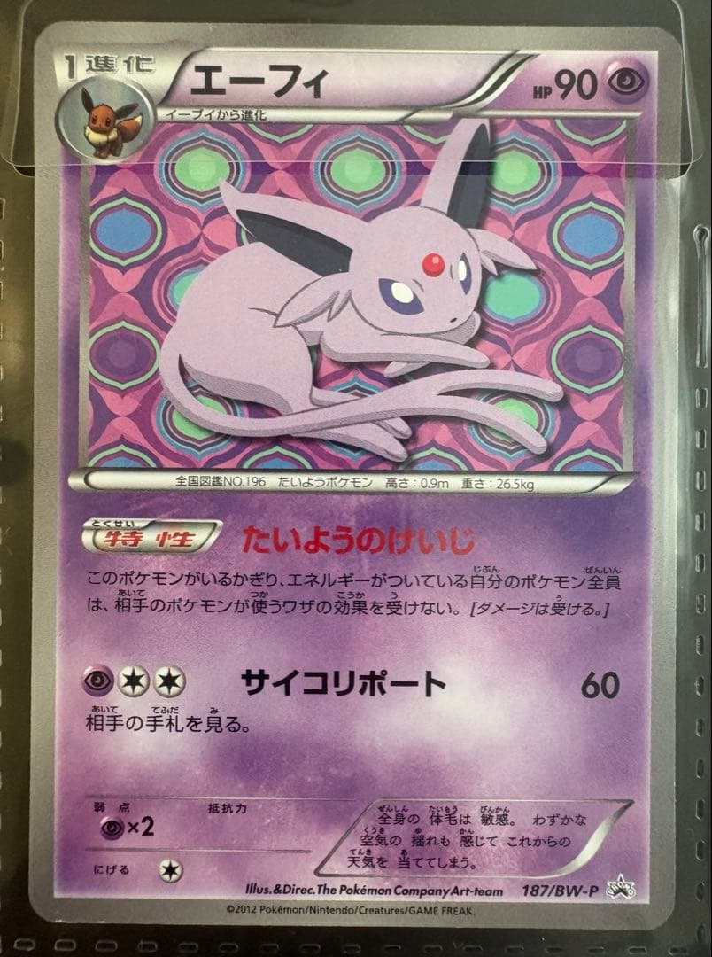 BW-Pプロモカード イーブイコレクション9枚セット おまけファイル付き