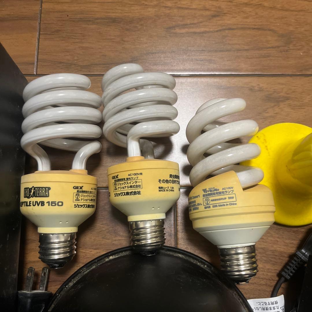 EXO タイマーサーモ ライトセット