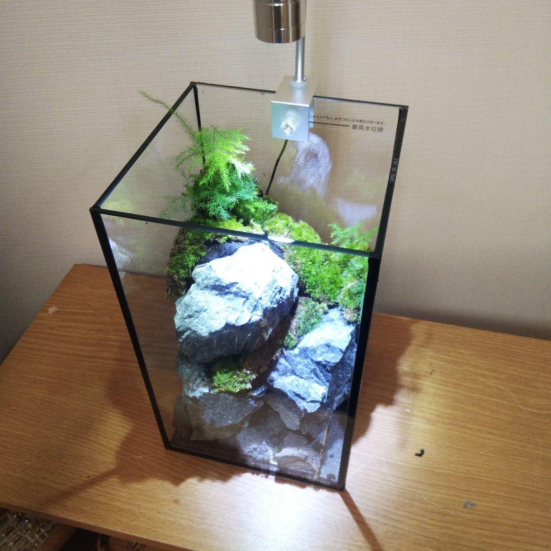 【受注生産】苔テラリウム