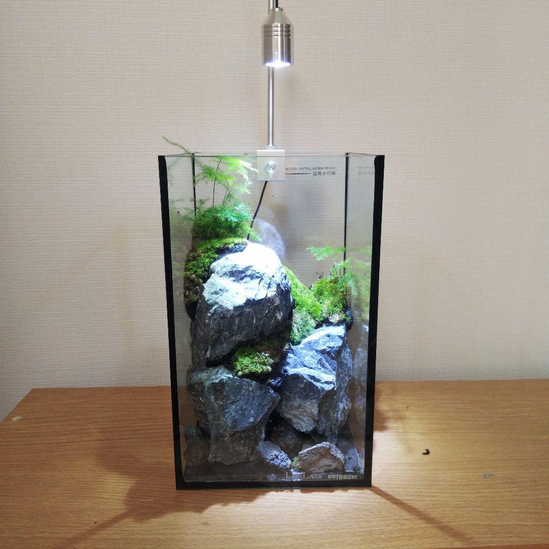 【受注生産】苔テラリウム