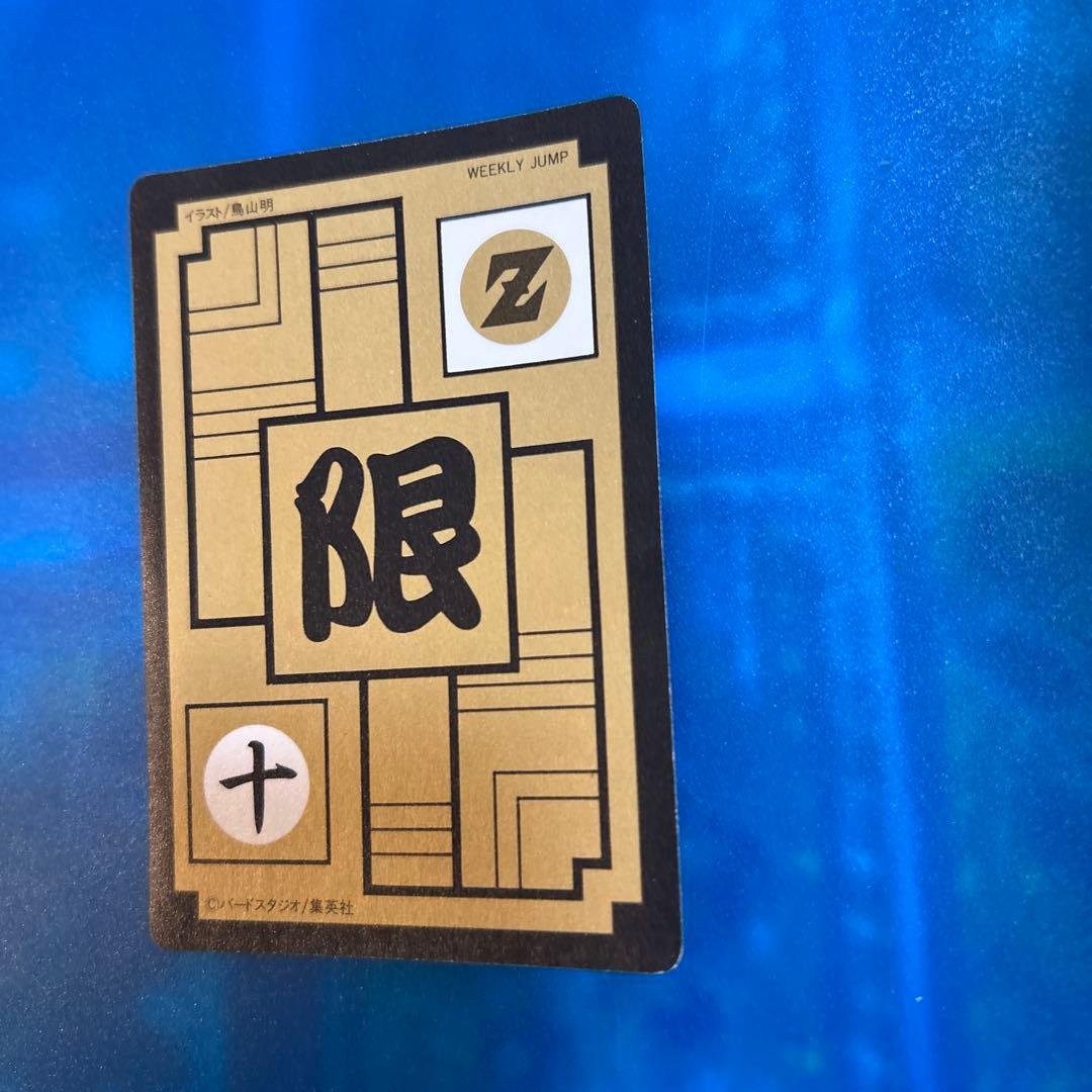 ドラゴンボール　カードダス めちゃんこプロジェクト　Ⅹ 孫悟飯