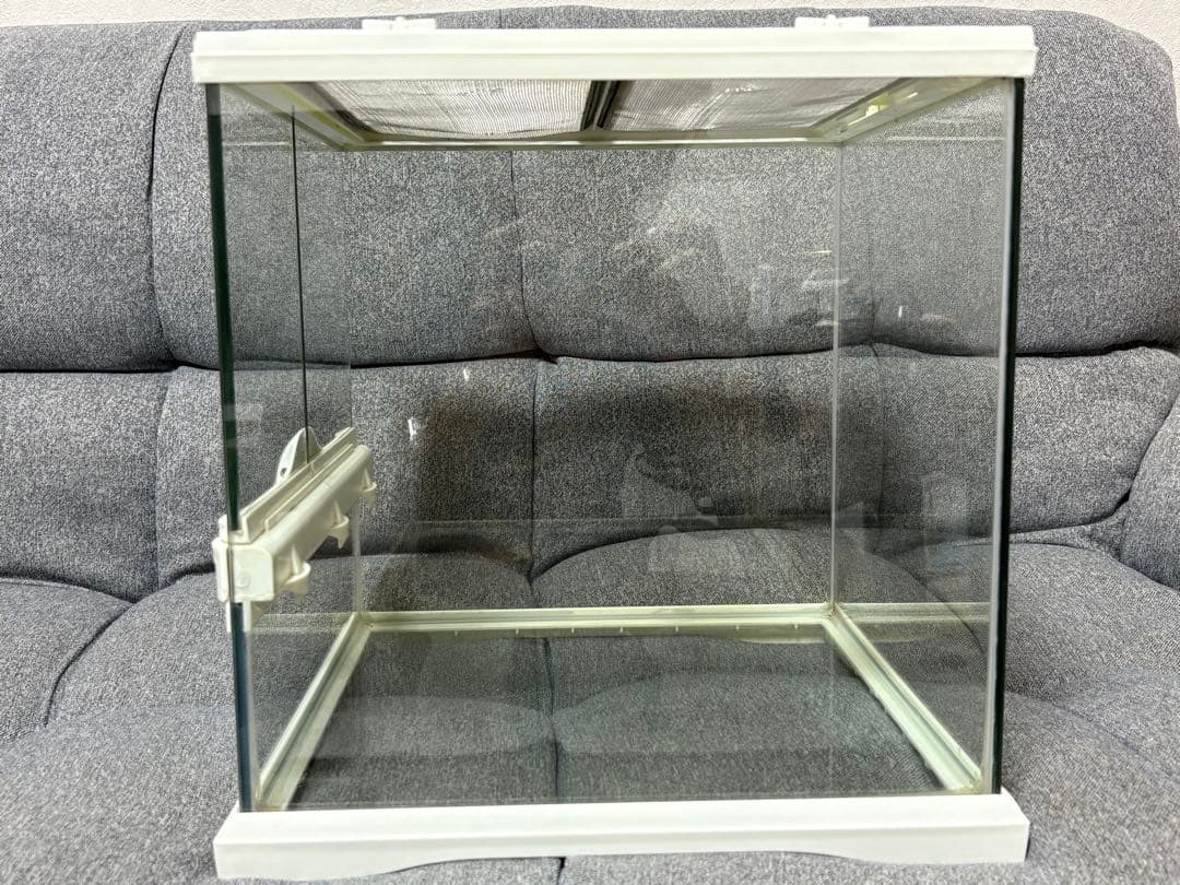 GEX グラステラリウム　30×30 ホワイト