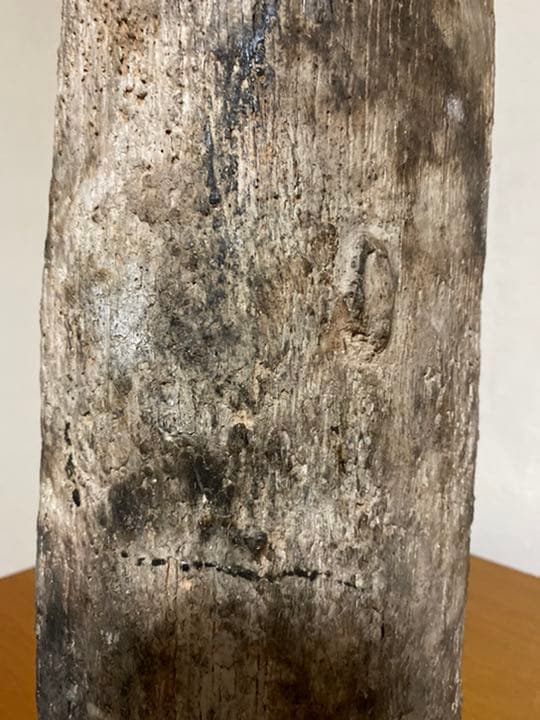 濱中史郎　作品