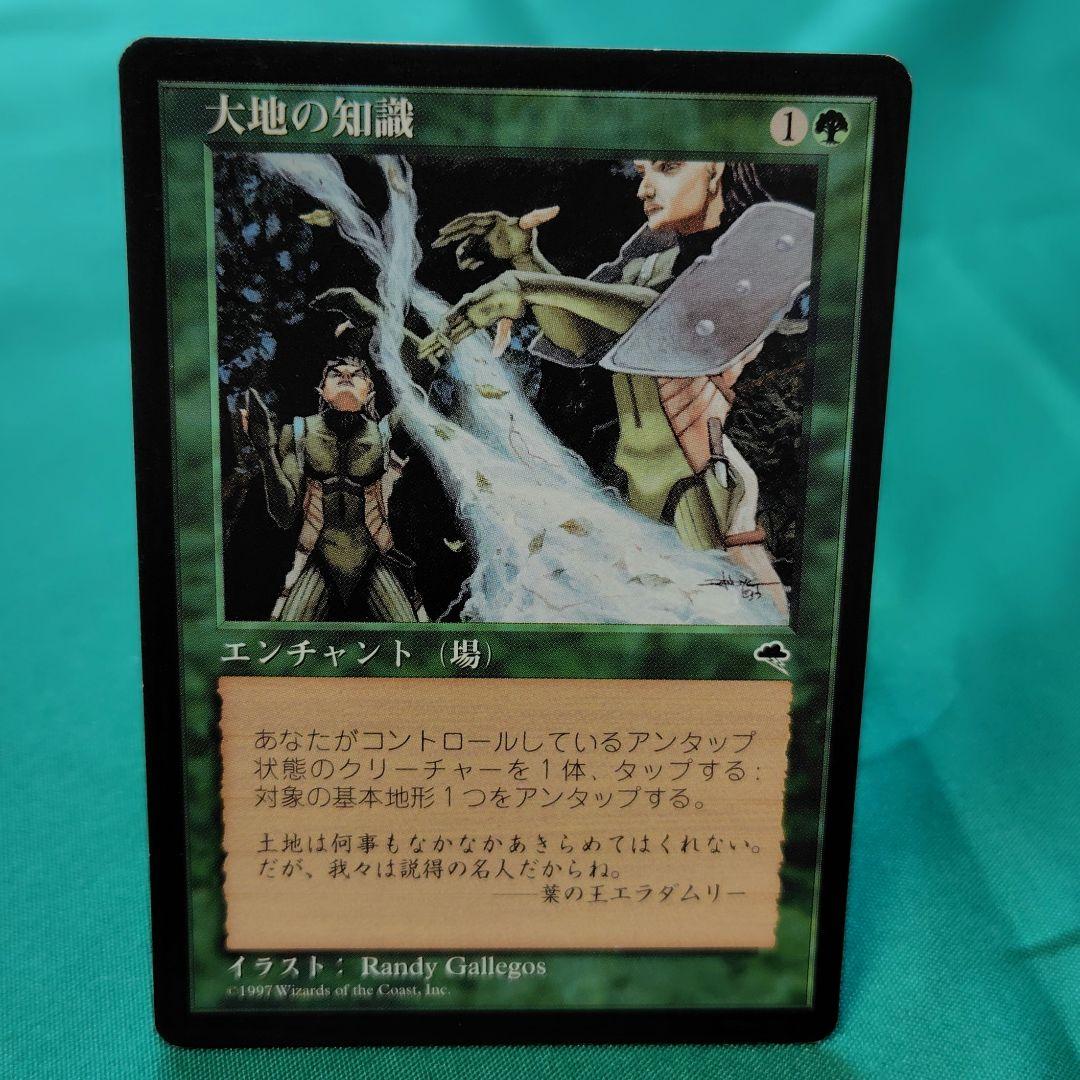 MTG 大地の知識 ２枚セット