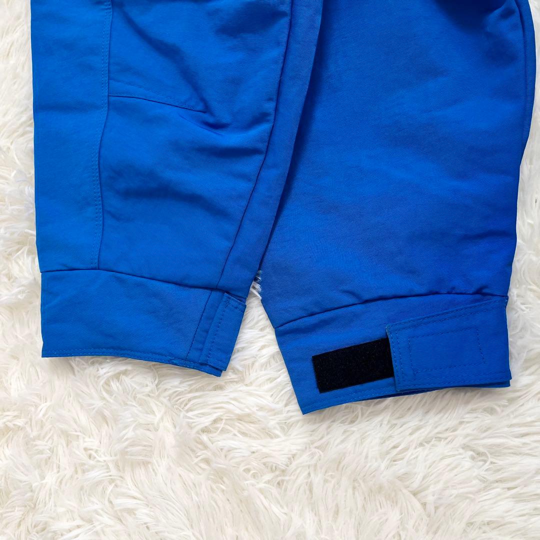 【極美品】フェニックス　スキーウエア　スノボウエア　上下セット　Lサイズ　メンズ