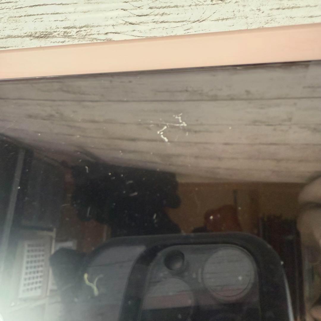 Switch 本体 プロコン カスタム品 eXtremeRate