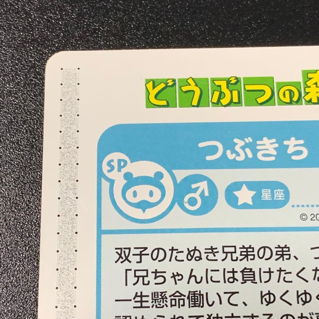 希少 どうぶつの森+ カードe つぶきちまめきち