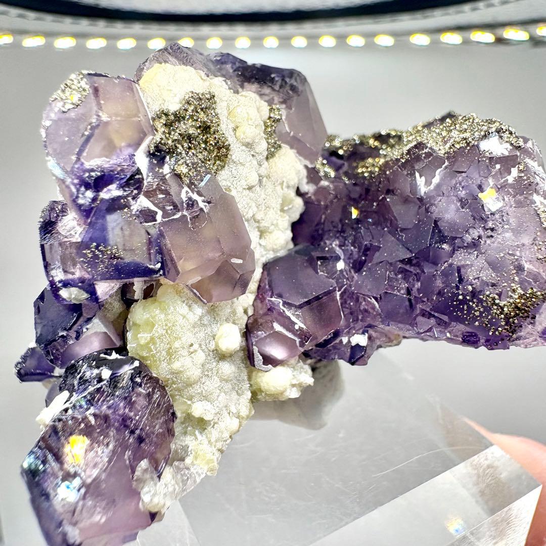 563 中国 内モンゴル産 フローライト&パイライト