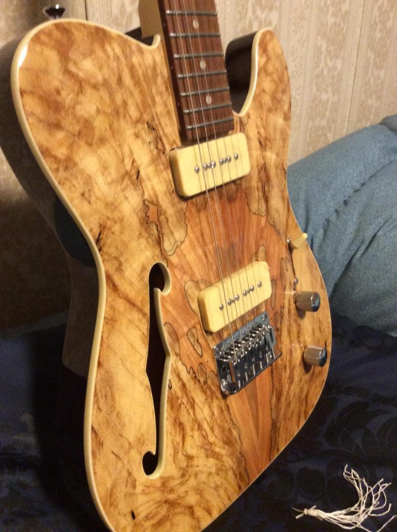 ギター Michael Kelly Guitars 59 thin line P-90