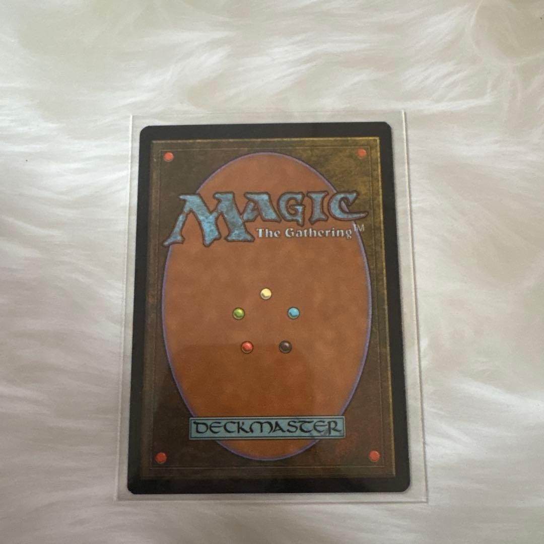 セラの聖域　マジック・ザ・ギャザリング