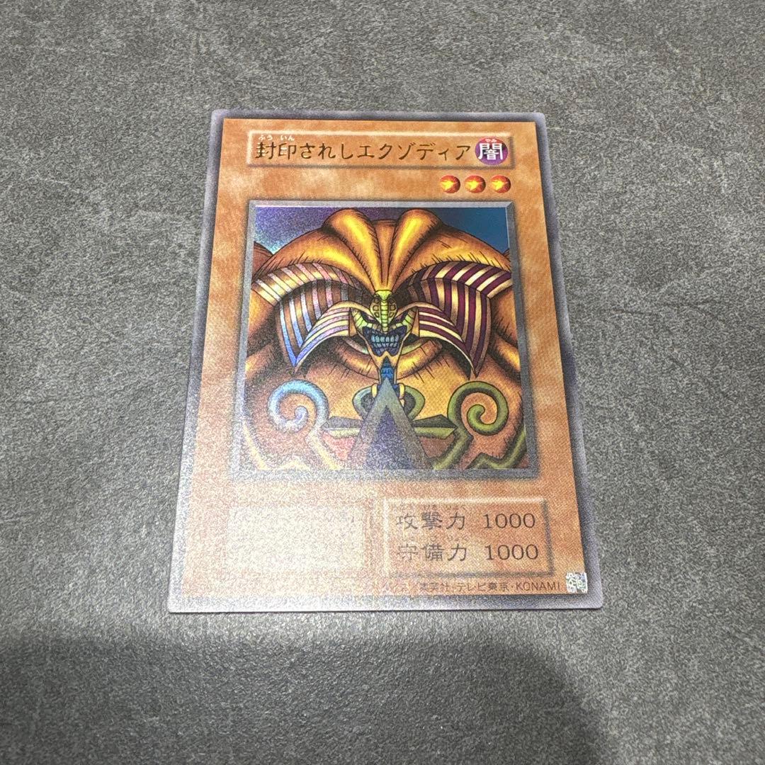 ＊シュゲー カード154枚＋パタゴニアダウンベスト