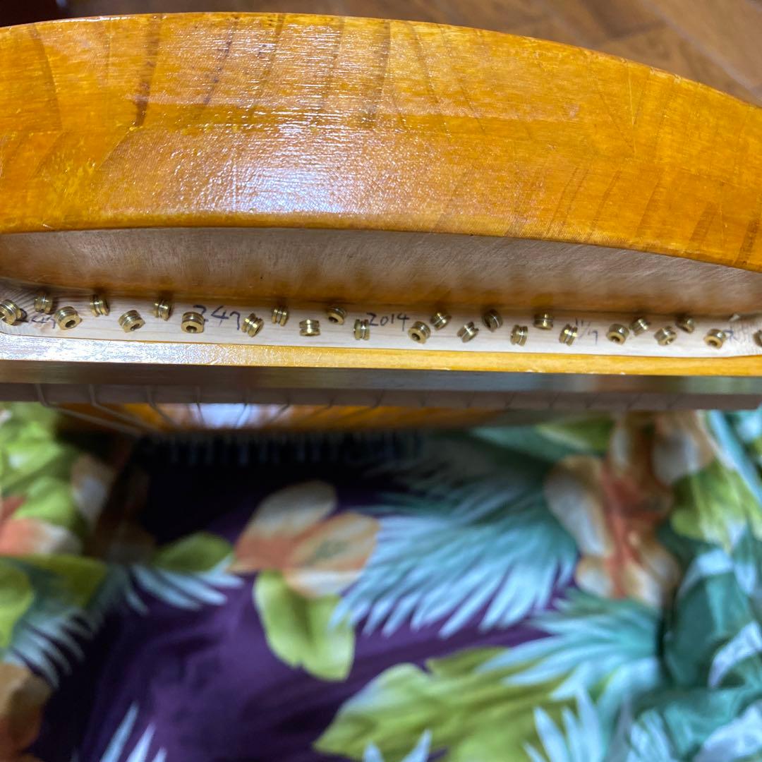 リラ工房❤️25弦ライアー☆ケース付き