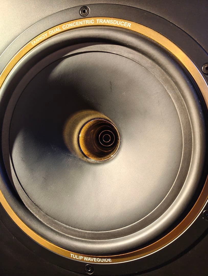 Tannoy GOLD 8 同軸モニタースピーカーペア