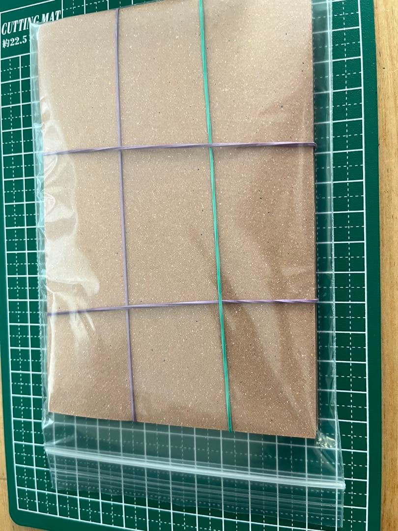 リーリエの全力 SR ドリームリーグ PSA9