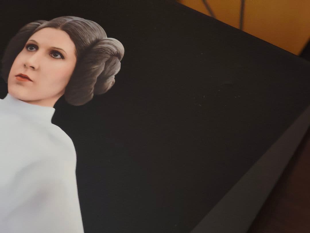 ホットトイズ プリンセス レイア スターウォーズ トイサピエンス