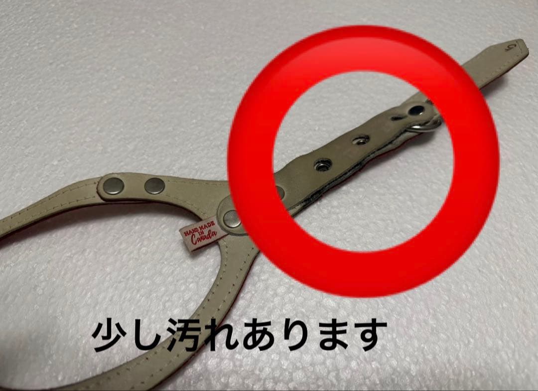 バディベルト5号、リード、ライナーセット