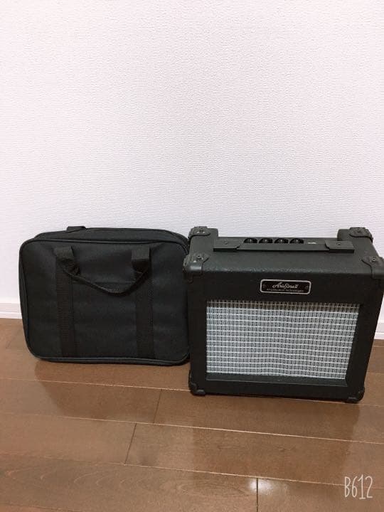 AriaProllエレキギター、カバー、アンプ、ピック、手入れ道具、シールド、本