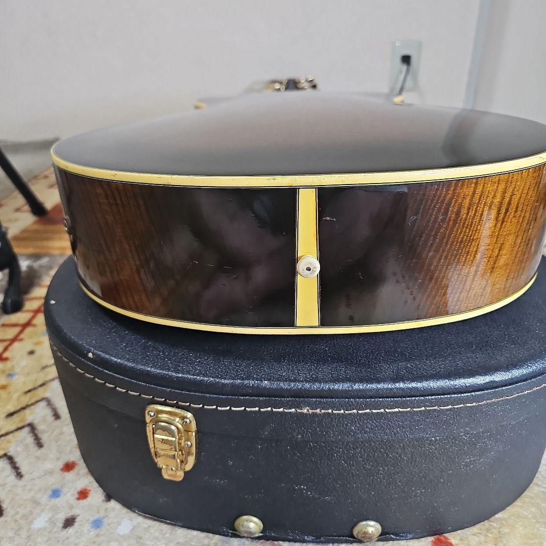 Aria.Elecod.FE-S80エレアコ珍品。