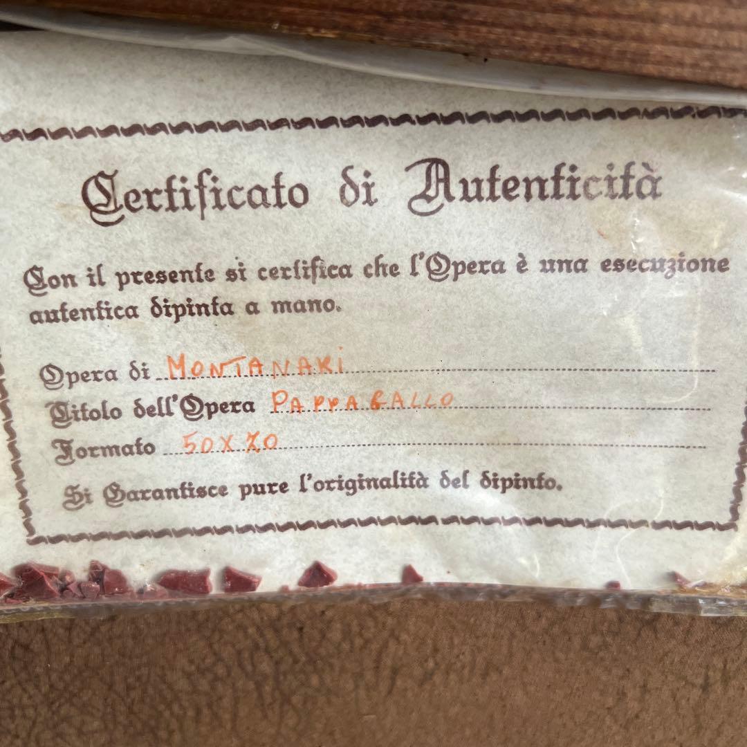 Montanari Papagallo 油彩画 50x70 cm