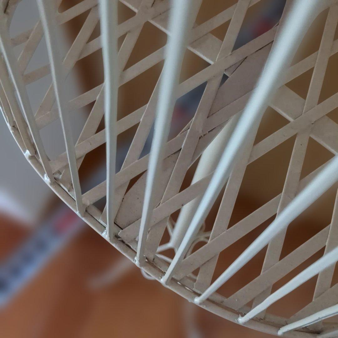 アイアン製レディーストルソー