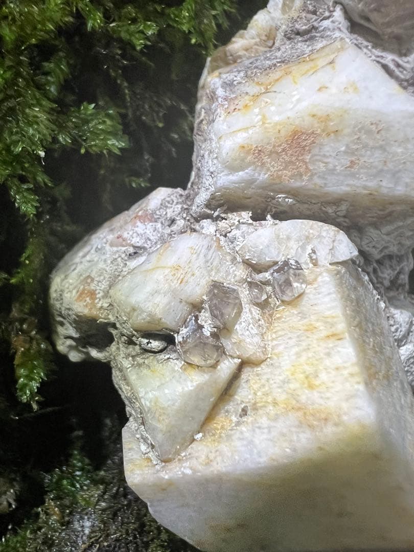 龍脈の精髄 九州産煙水晶＆長石共生標本 「大地と祓いの調和」【保護猫活動支援】