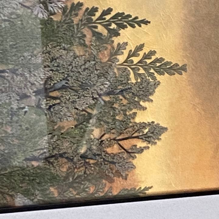 押し花絵『夕暮の集落』　希少品