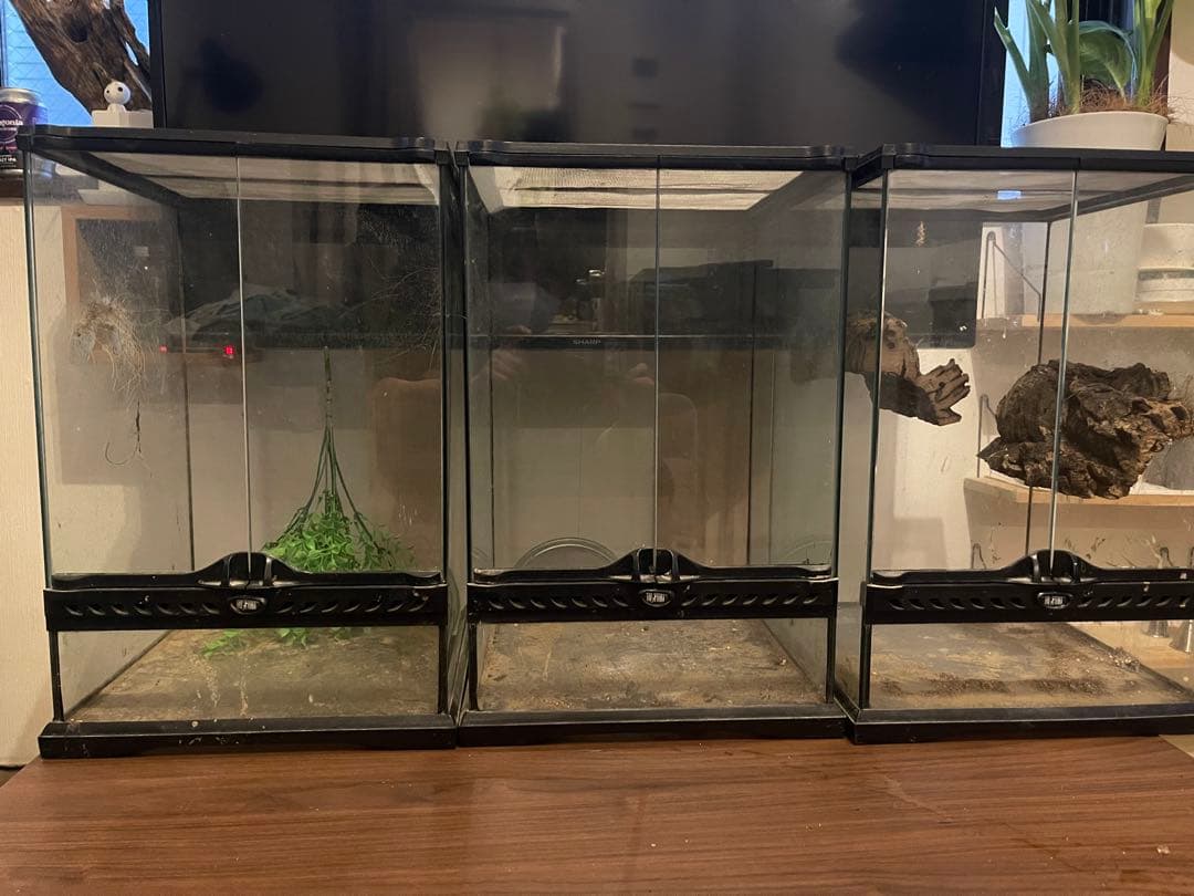 【引き取り限定】グラステラリウム3045×3、3030×2