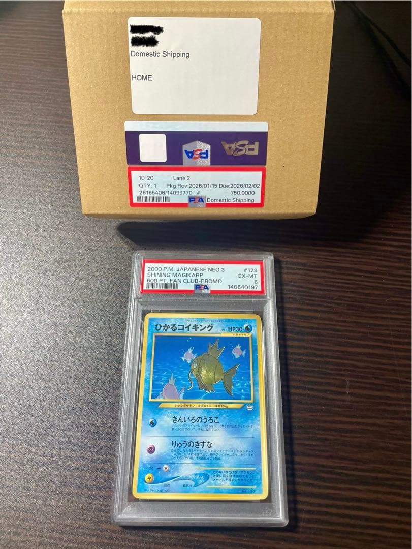 ひかるコイキング「ポケモンファンクラブ」 特製プロモ