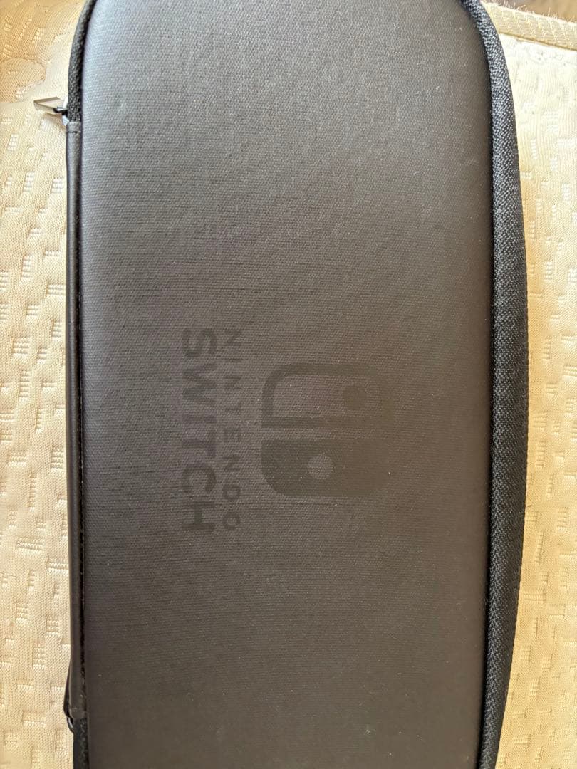 Nintendo Switch 本体 + 専用キャリングケース