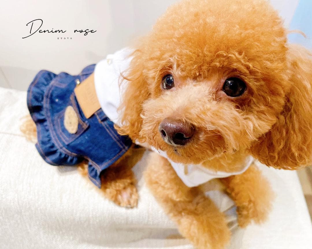 DENIM ROSE ワッペンデニムスカート