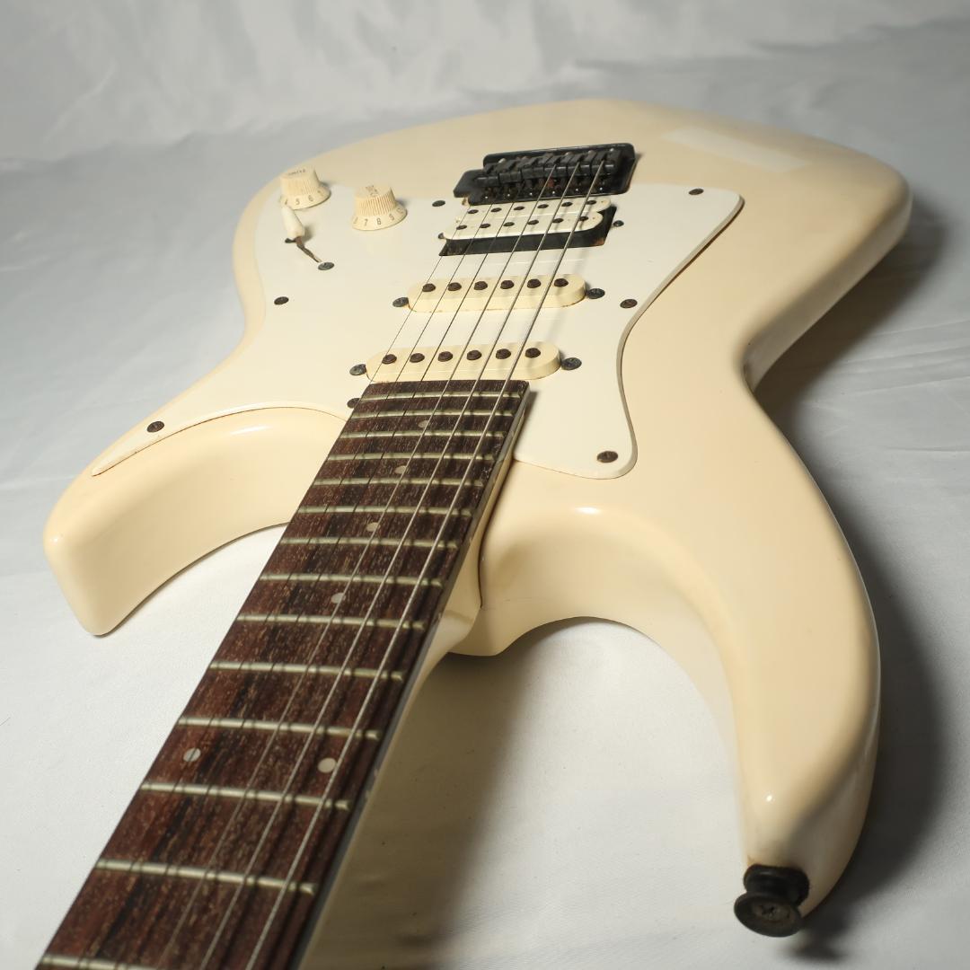 Black Dog by Aria ProⅡ ギター ケース付 コイルタップ搭載