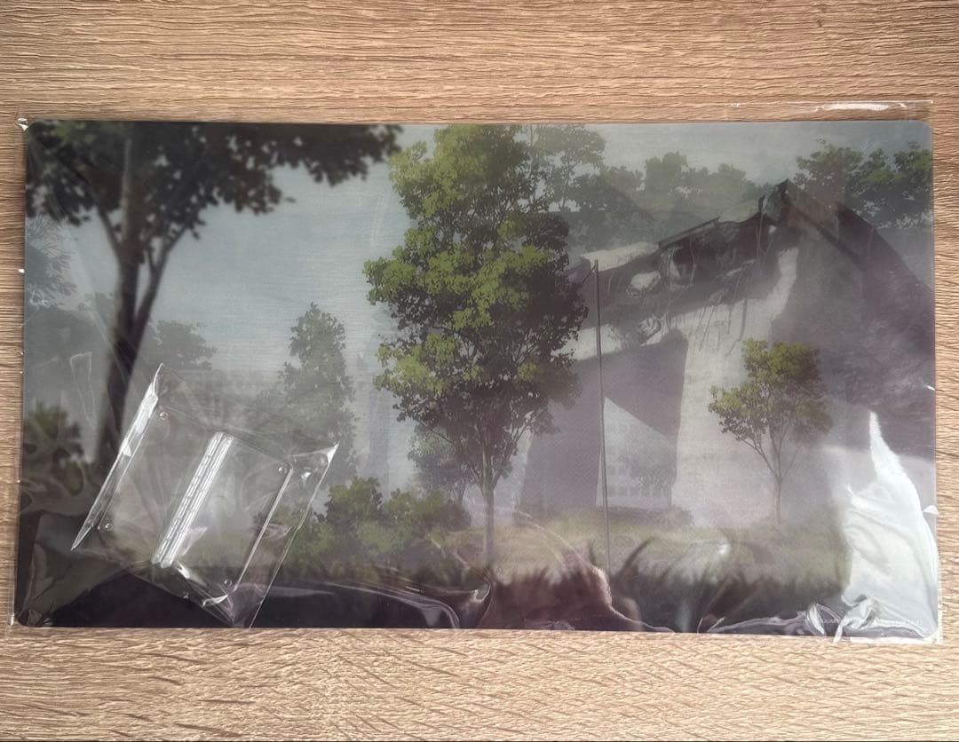 ＜ヨルハ 二号 DX版＞ニーア オートマタ PLAY ARTS改 【オマケ付き】