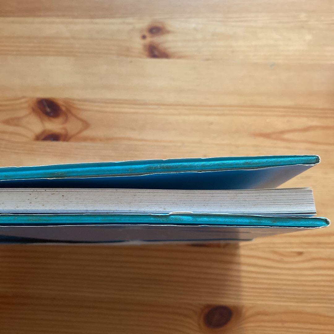 この星 野口里佳