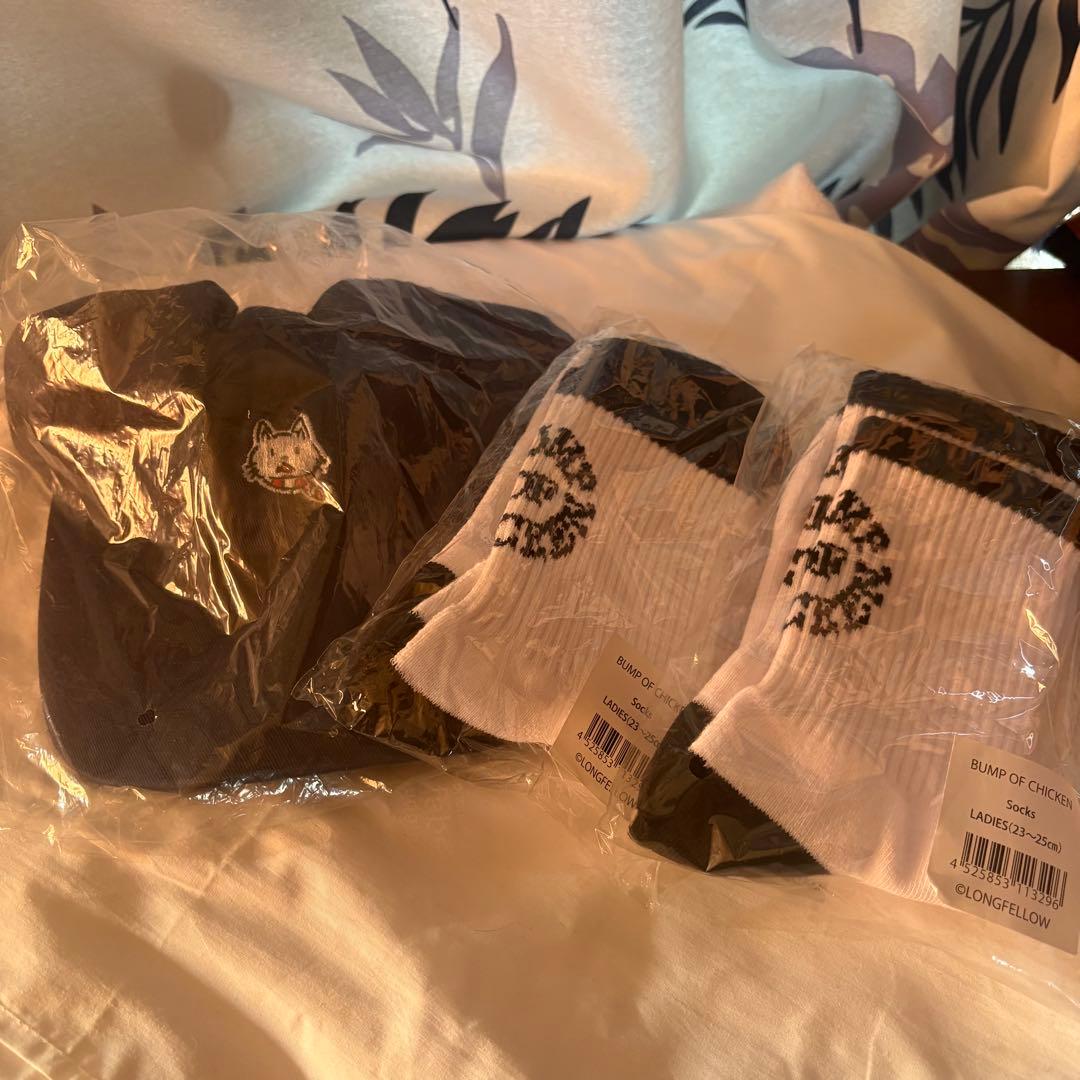 BUMP OF CHICKEN aurora arc グッズセット