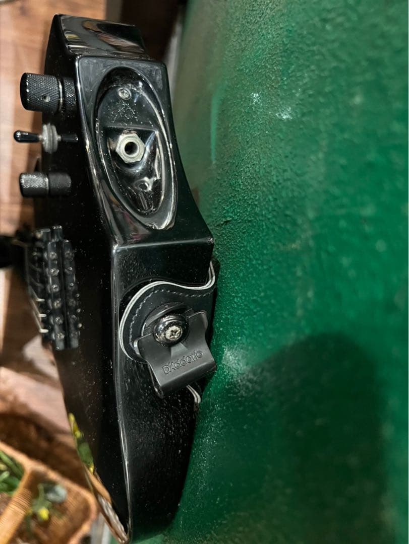 Bernice Tan＊グラスルーツ フォレストタイプ エレキギター