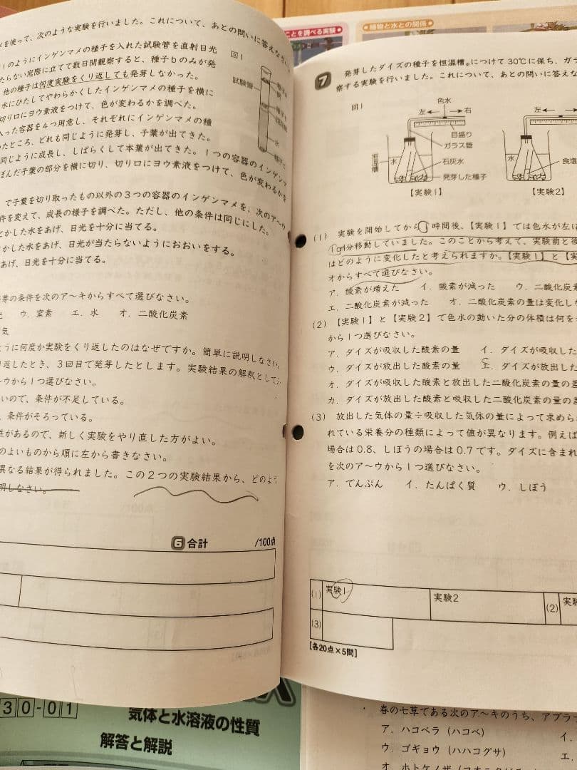 2025年度 サピックス 6年生 理科 欠番なし