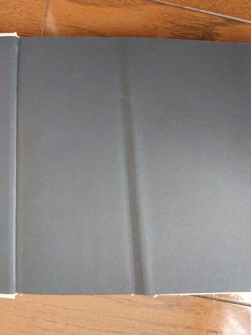 大西みつぐ写真集 WONDER LAND