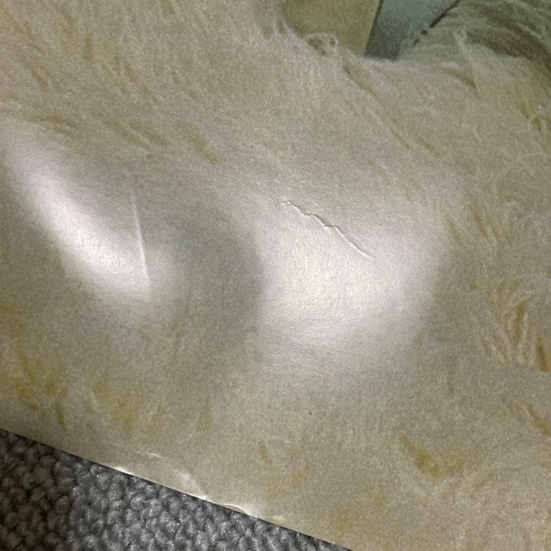 藤原紀香　NEW YORK DIARY ポスター　非売品