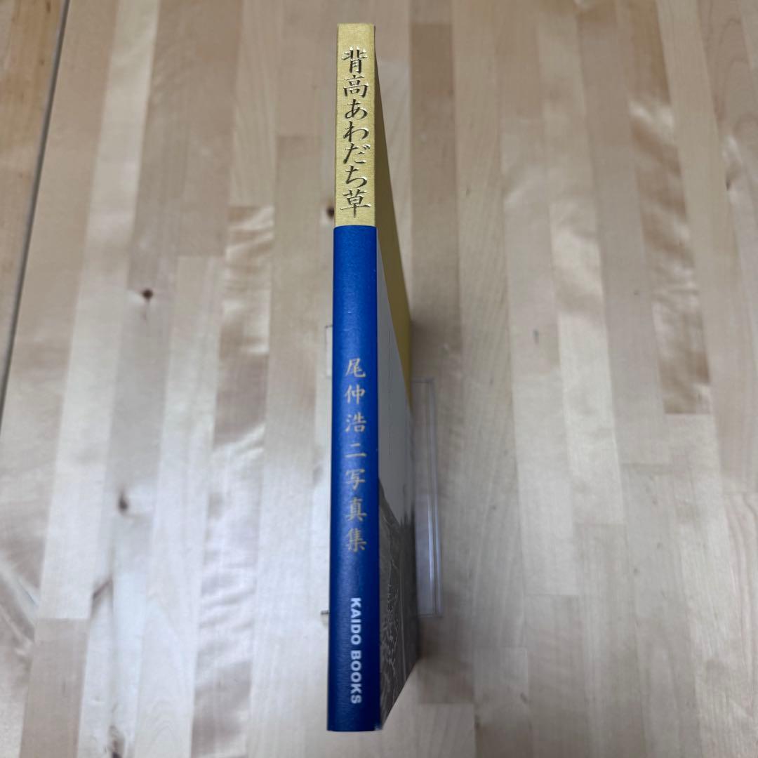 【まとめ割可】背高あわだち草 ｜尾仲浩二 Koji Onaka