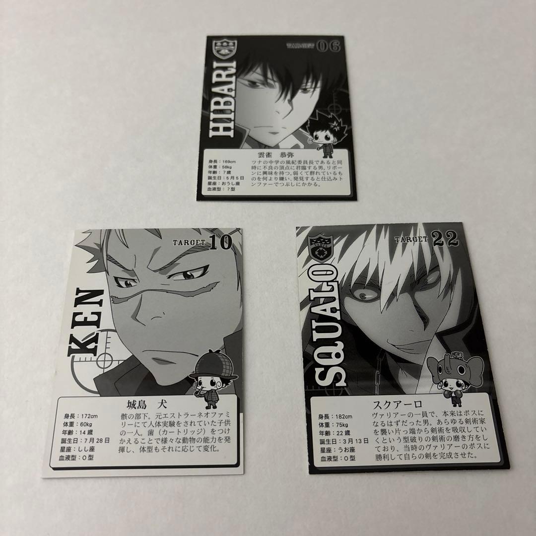 REBORN! リボーン リアルペイント カードのみ 3種