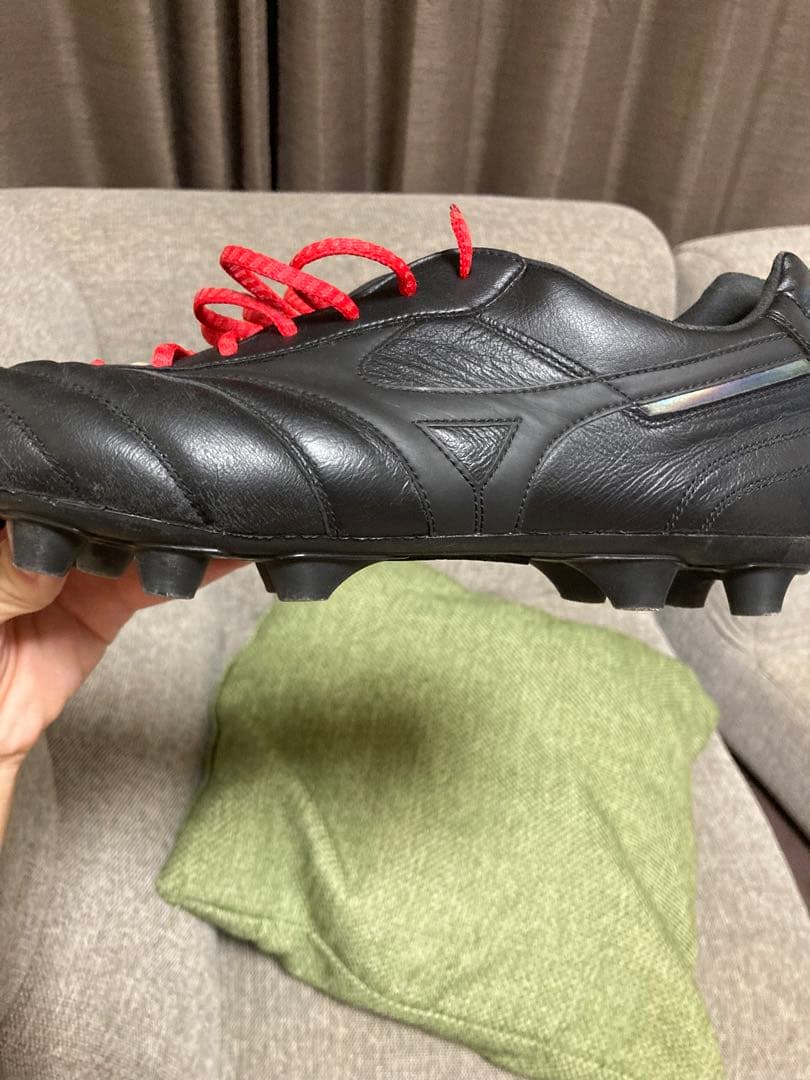 ミズノモレリア2pro