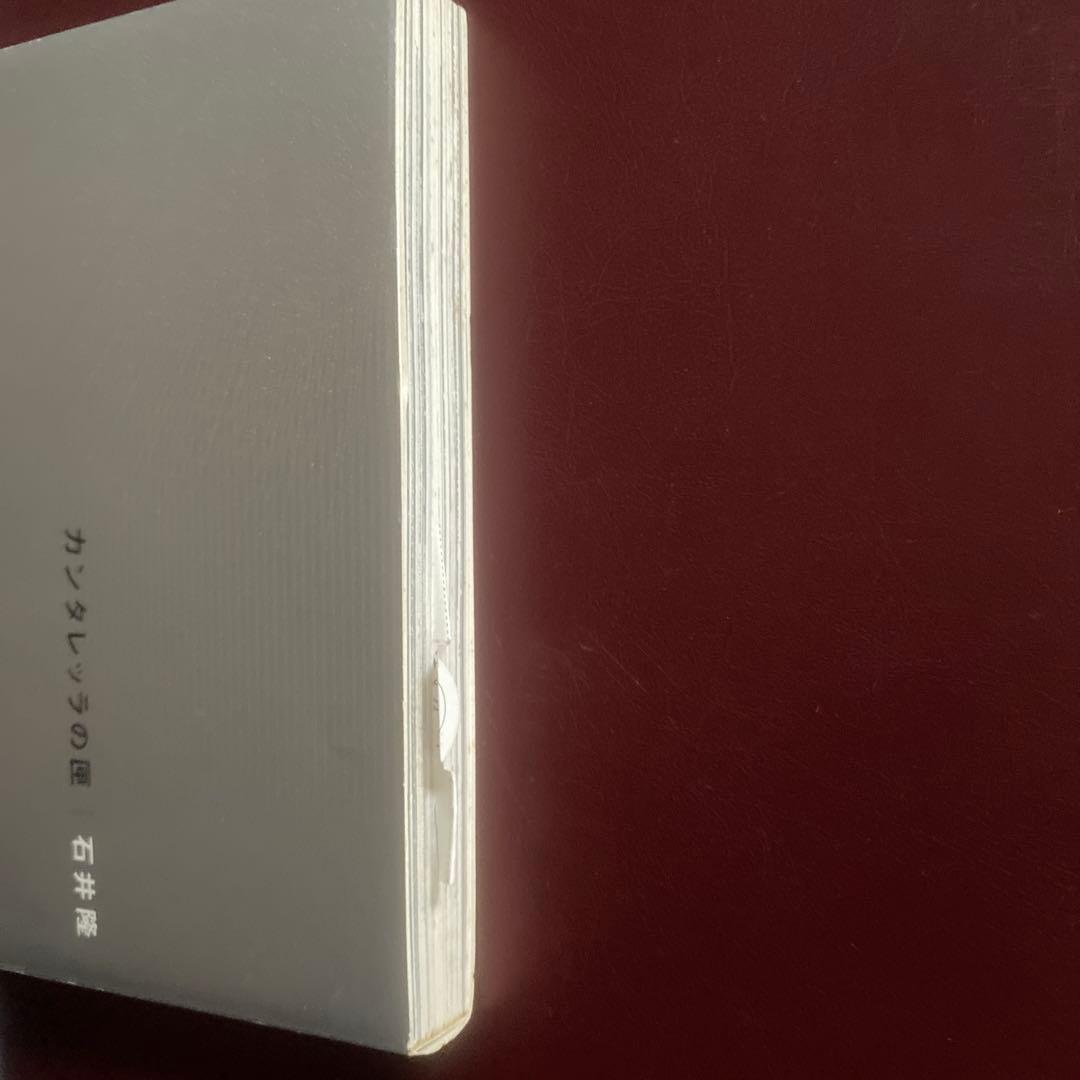 サイン入り石井隆さん終刊。(未完行作品)