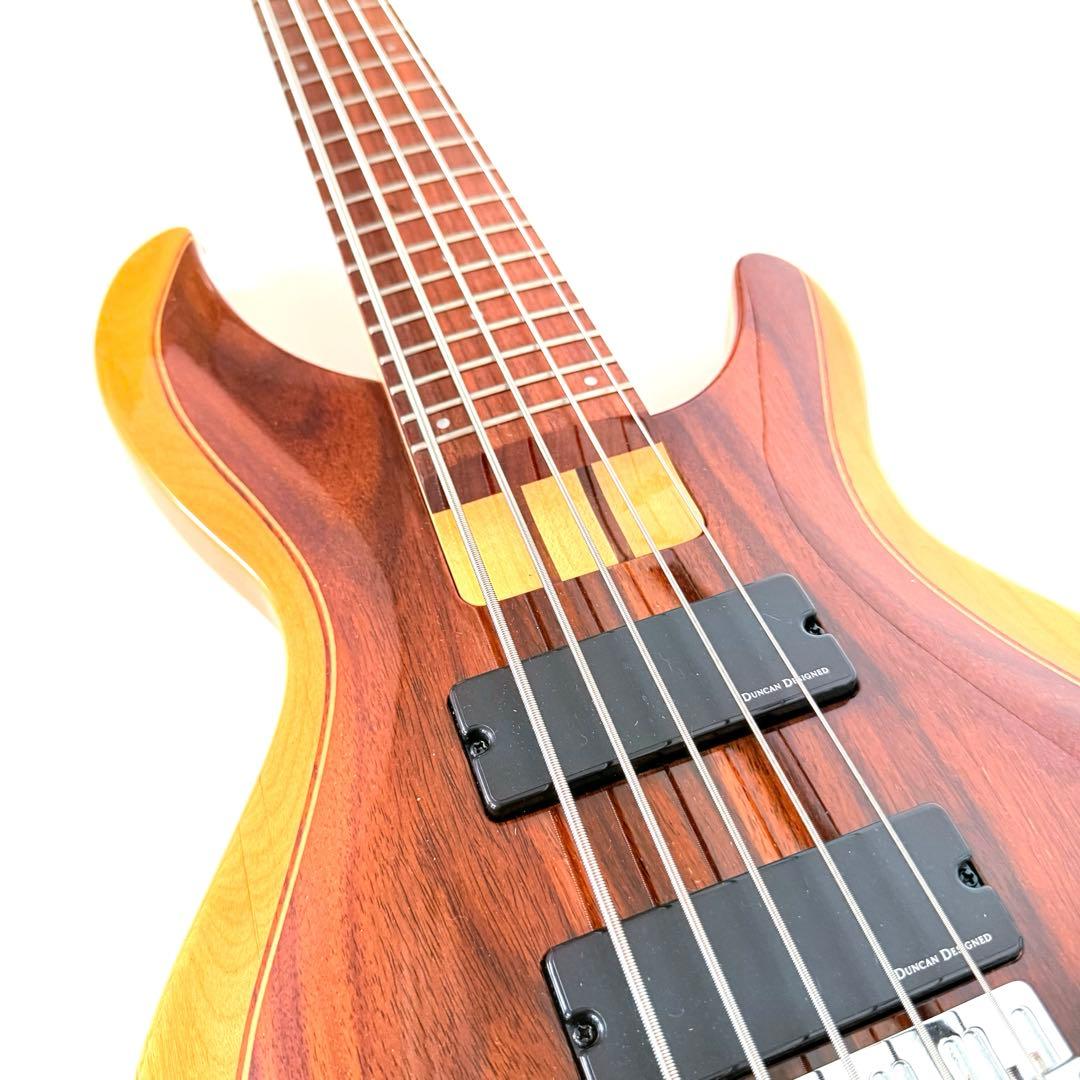 【極美品】Aria Pro Ⅱ IGB-55ROSE 5弦ベース アリアプロ