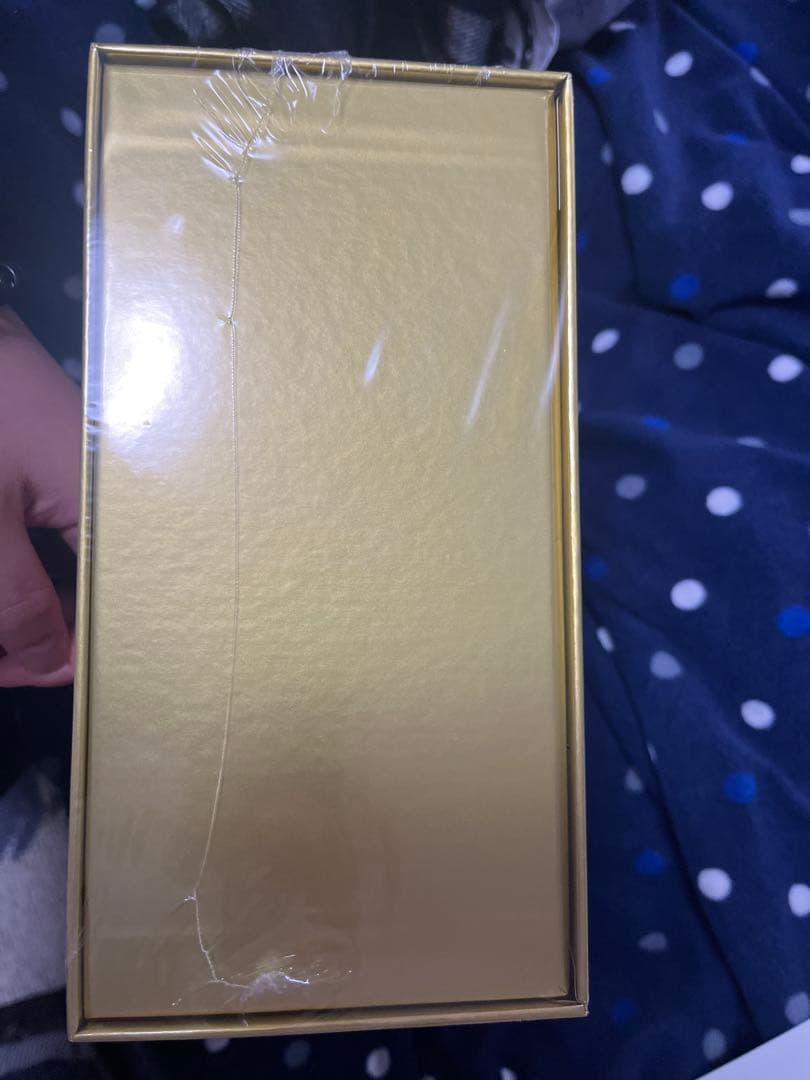 25th Anniversary ゴールデンボックス　　未開封 シュリンク付き