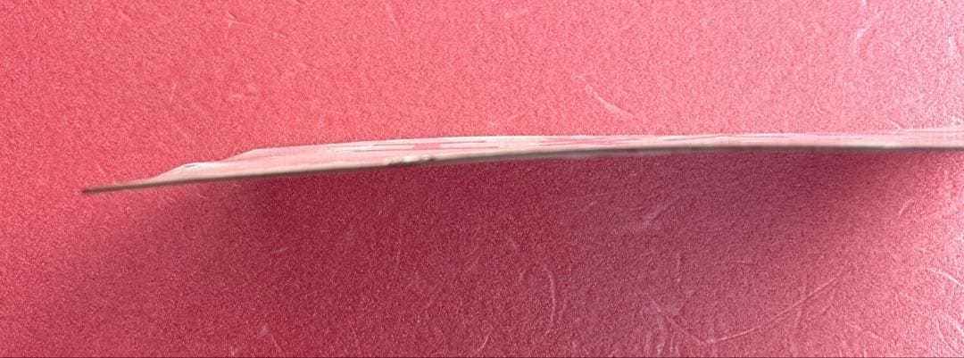 鉄道部品 愛称板 手書き「エキスポこだま」