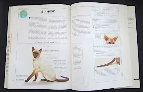 本256／洋書　図鑑　all the World's Cat Breeds